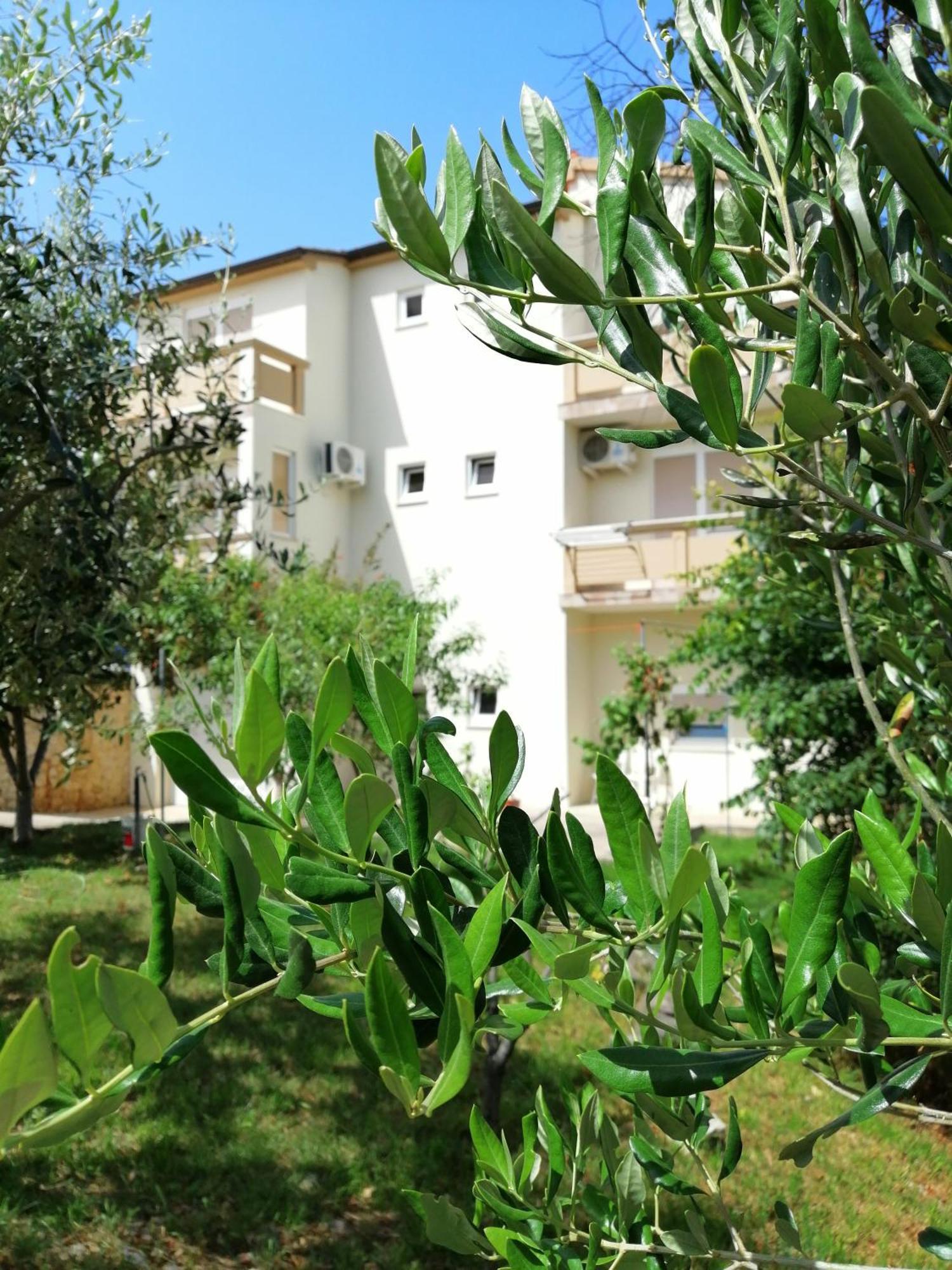 Apartments Monika Nin Zewnętrze zdjęcie